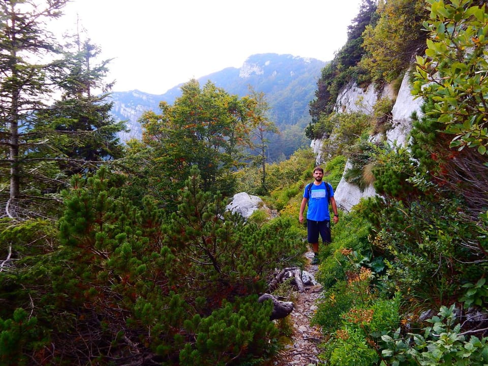 Neighbourhood, Hiking