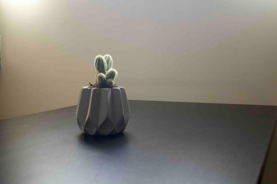 cool & comfy suite with GYM. Polanco Apartment in Mexico City