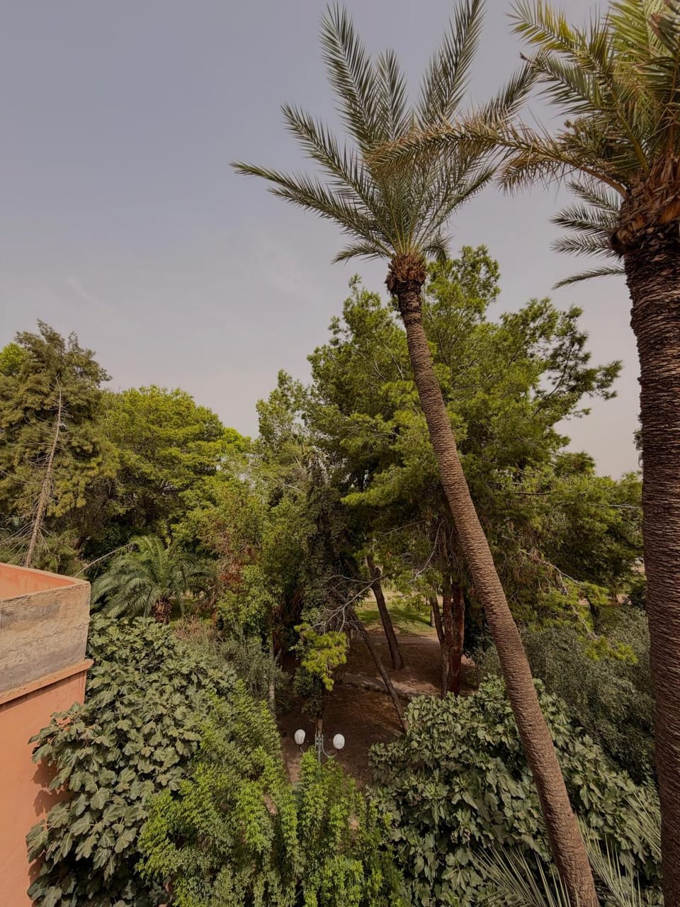 Riad La Perla Bianca Bed and Breakfast in Marrakesh