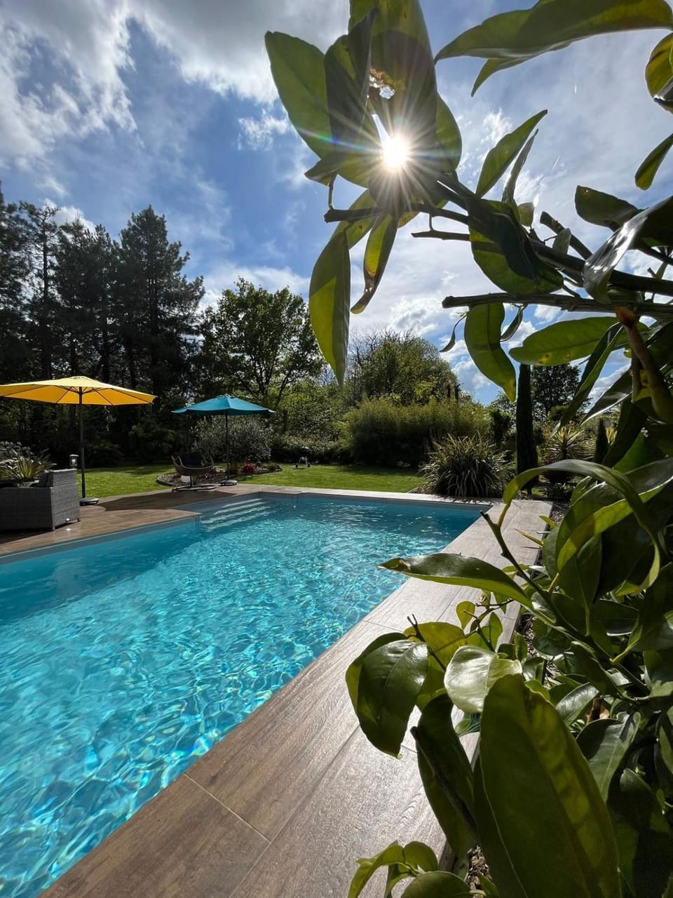 CHAMBRE CHAMPÊTRE Bed and Breakfast in Pays de la Loire