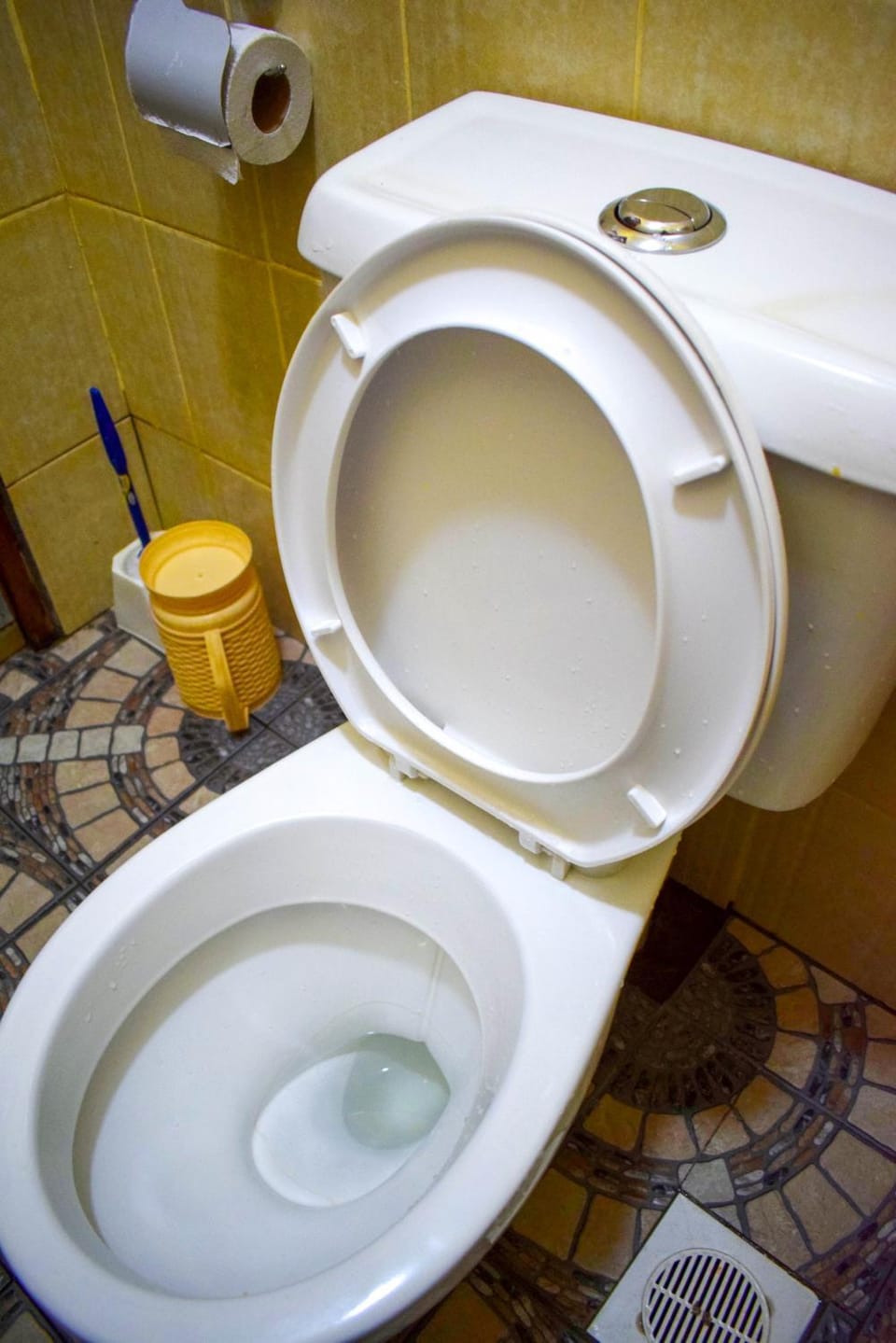 Toilet