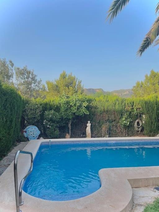 Natural landscape, Garden, Swimming pool