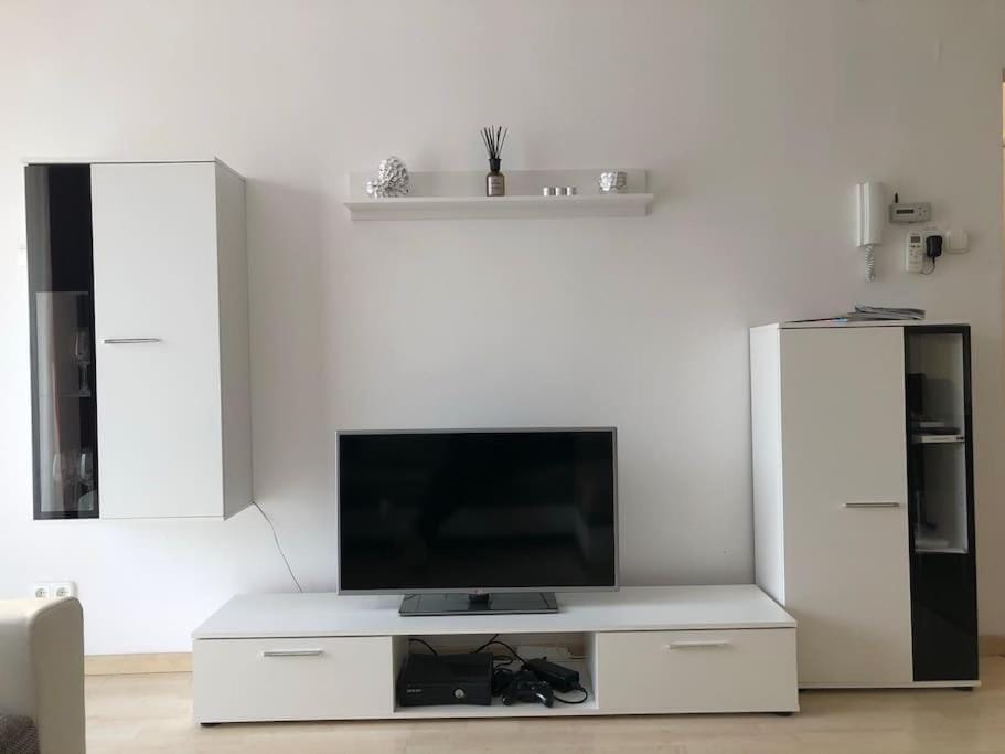 TV and multimedia
