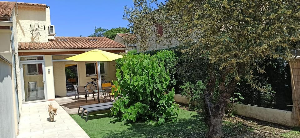 Garden, Balcony/Terrace