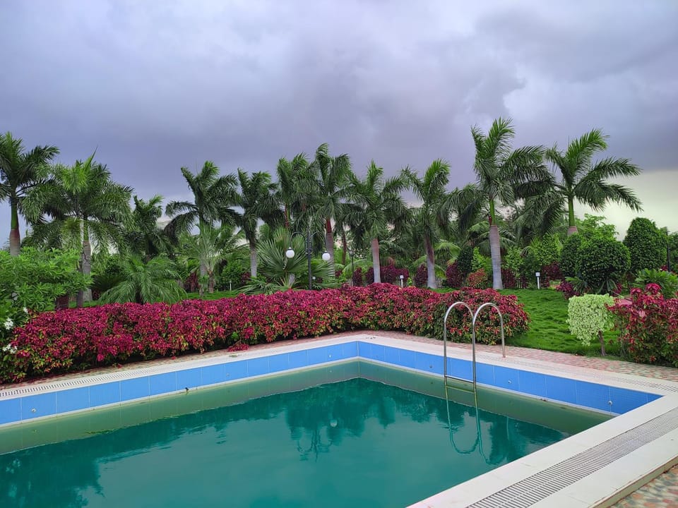 Garden, Swimming pool, Swimming pool