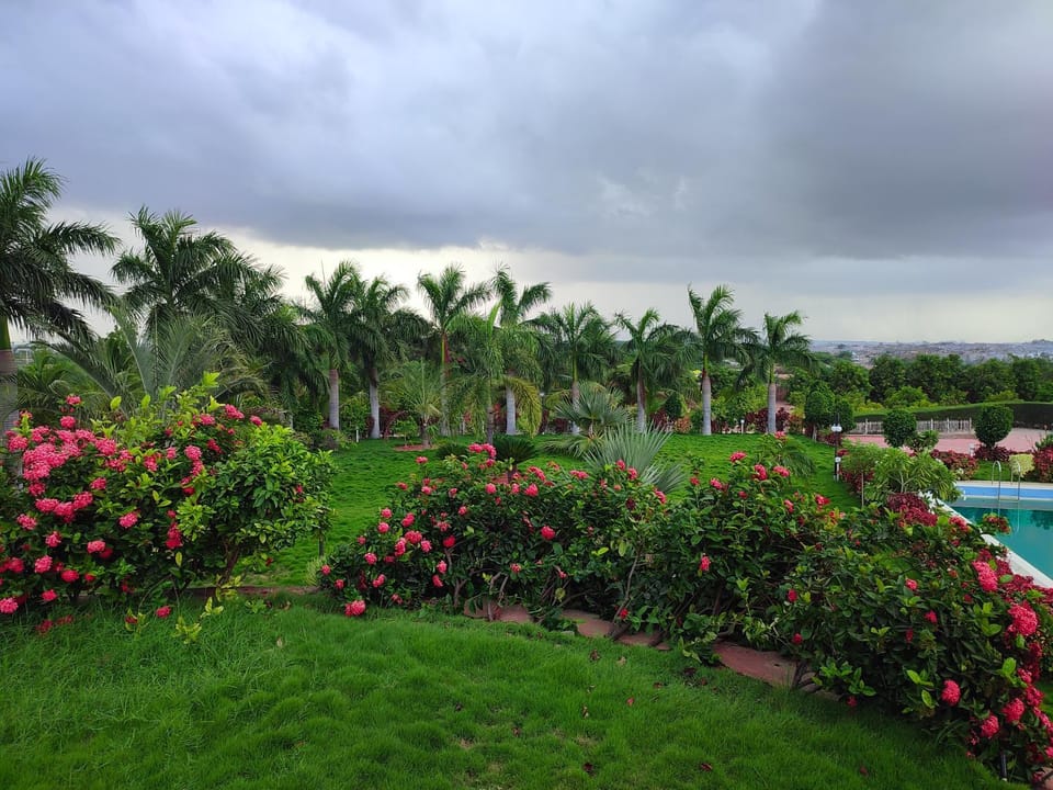 Natural landscape, Garden