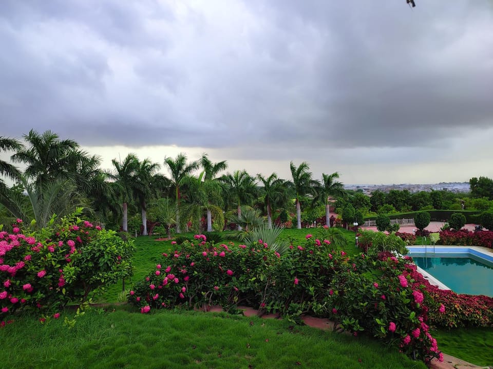 Garden