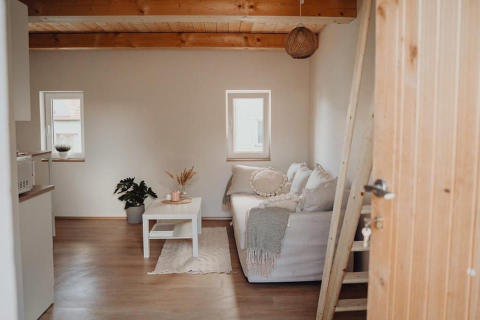 Pura Vida Vrbice Apartment in South Moravian Region