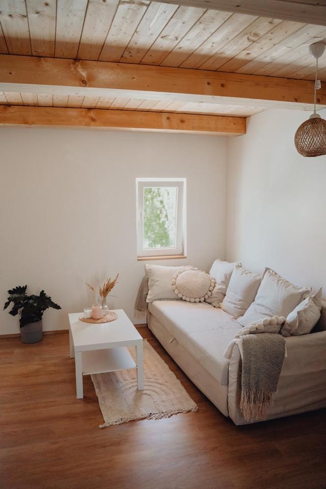 Pura Vida Vrbice Apartment in South Moravian Region
