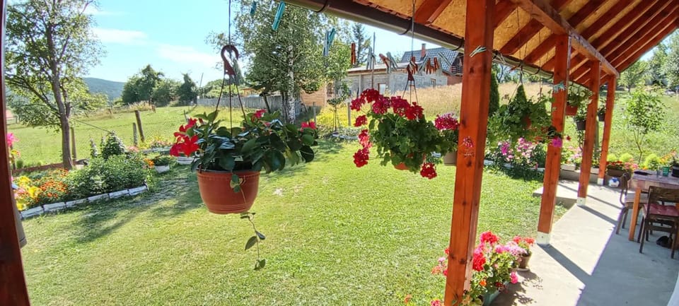 Rada smeštaj Apartment in Zlatibor District, Serbia