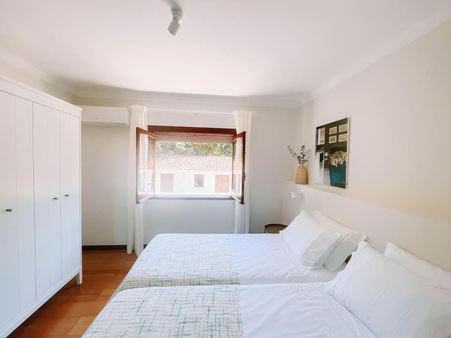 Just Like Home - Casa Glória Villa in Viana do Castelo District, Portugal