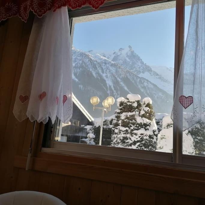 Le p'tit Rubis Apartment in Chamonix