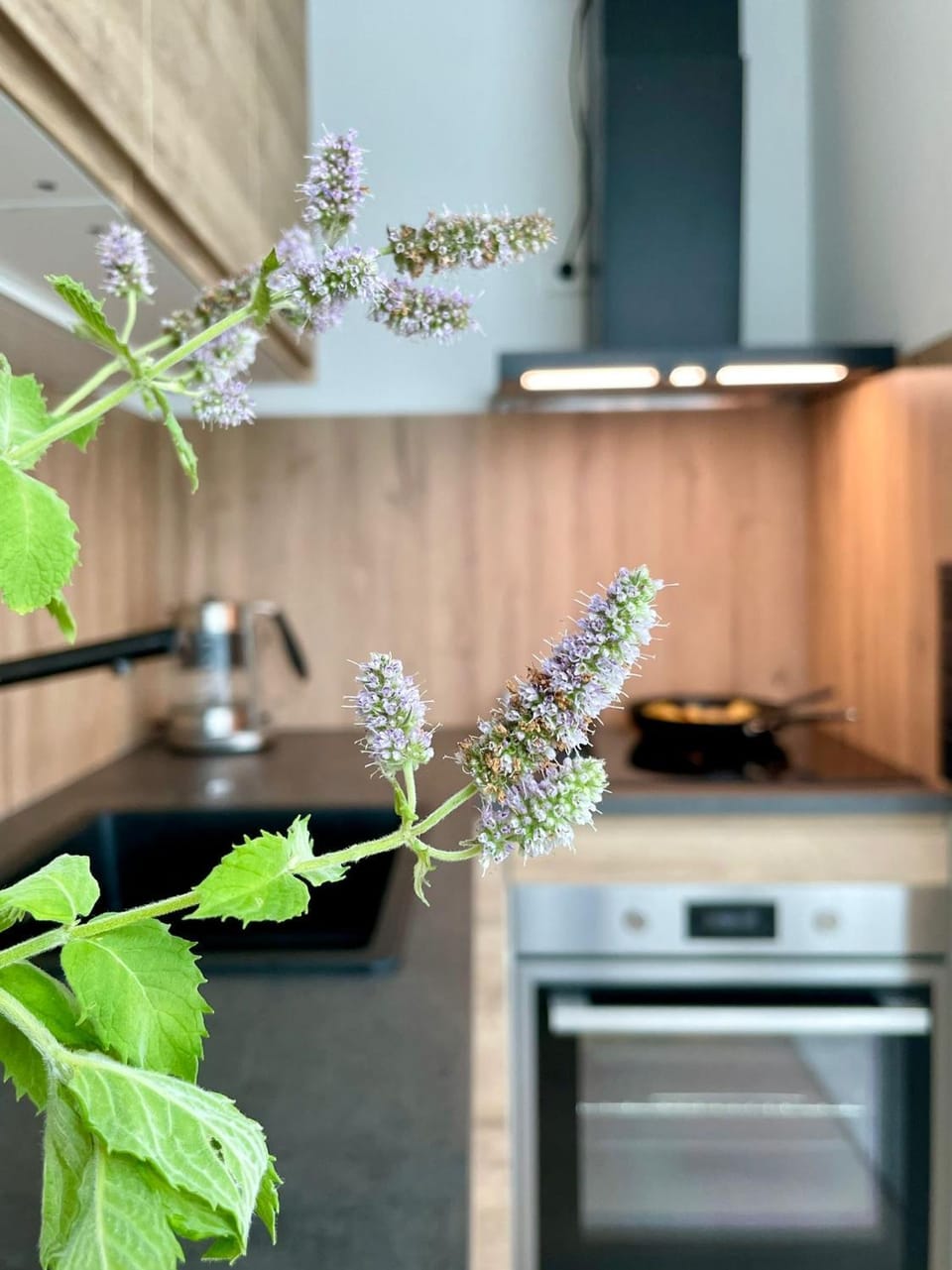 Kalevi Panorama Apartment in Tallinn