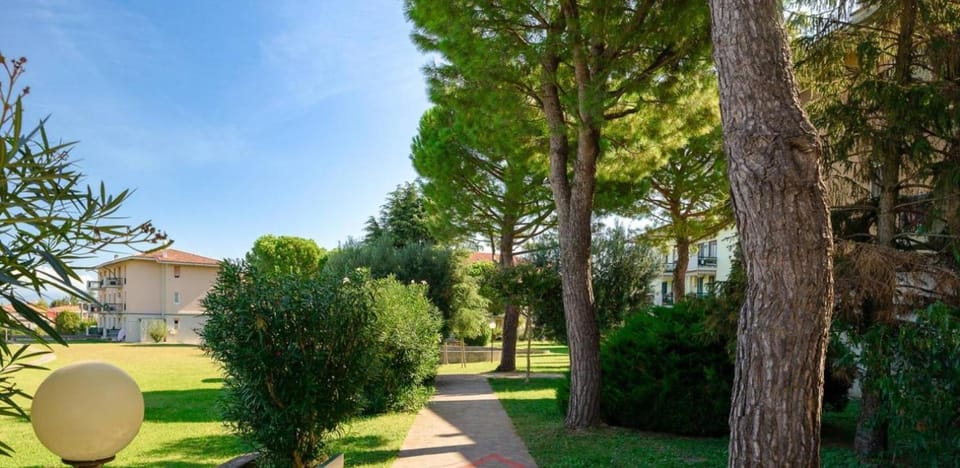 Natural landscape, Garden view
