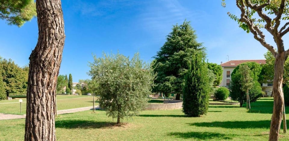 Day, Garden