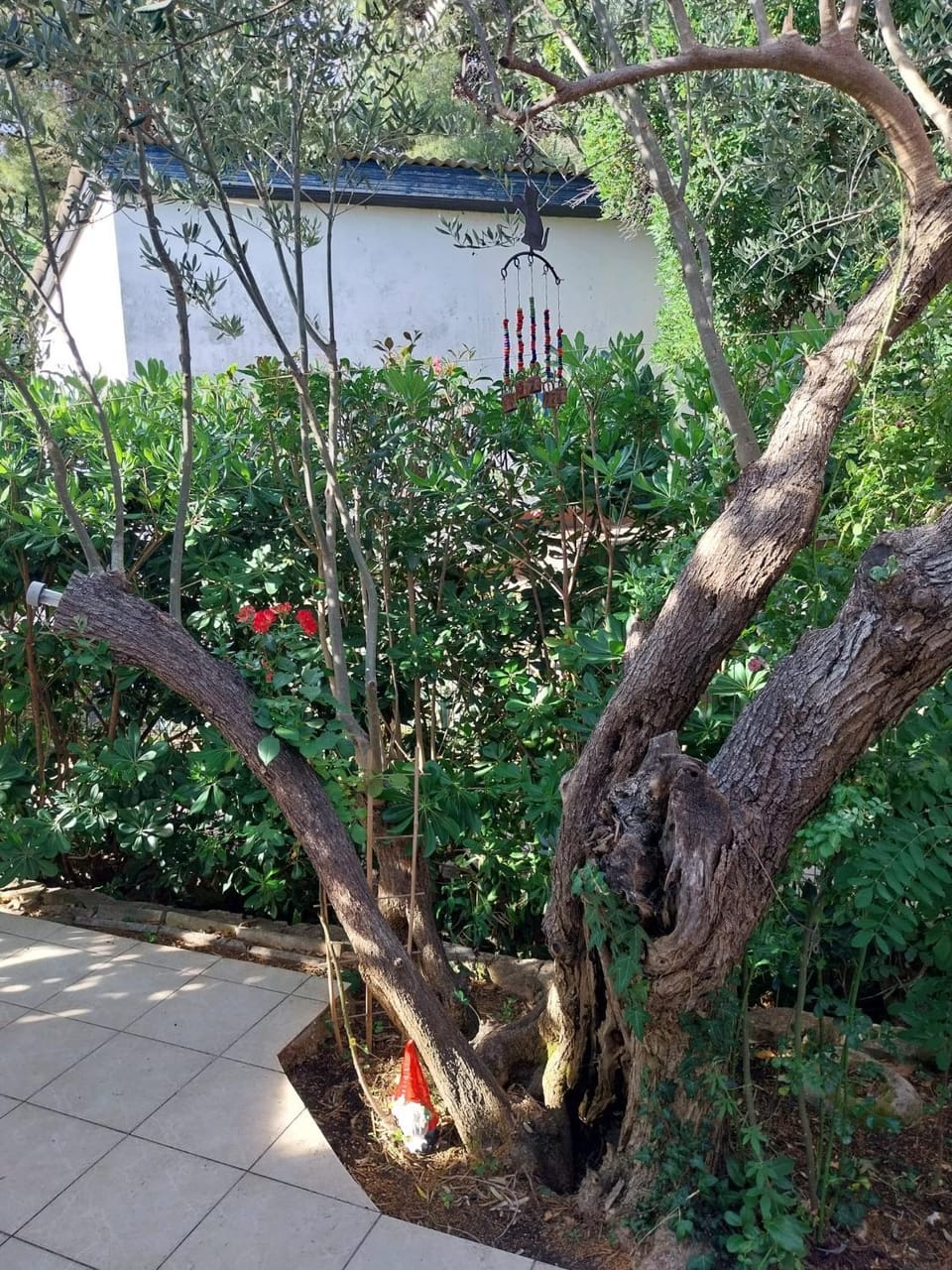 Whole house Ariela, 20m to the beach, has a barbecue, 2 terraces House in Šibenik