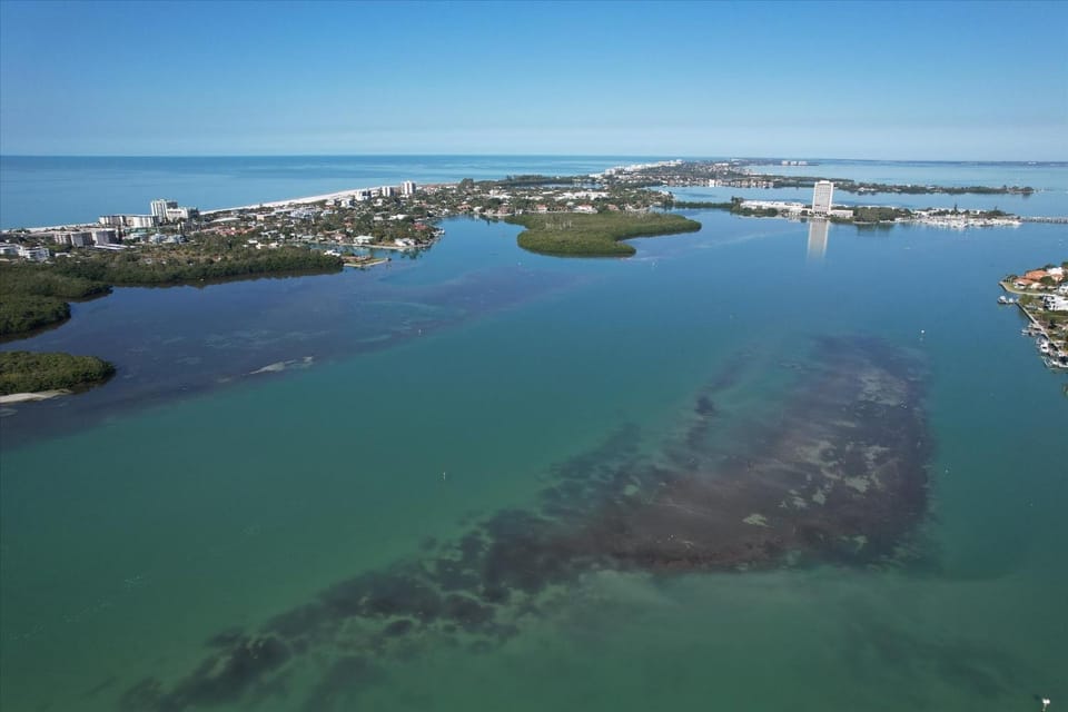 6415 Midnight Road #709 House in Siesta Key