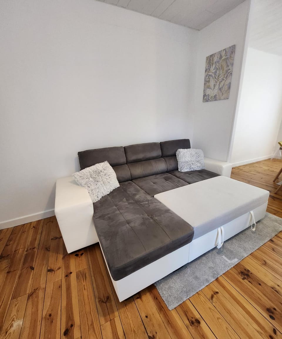 Chaleureux appartement refait à neuf Apartment in Auvergne-Rhône-Alpes