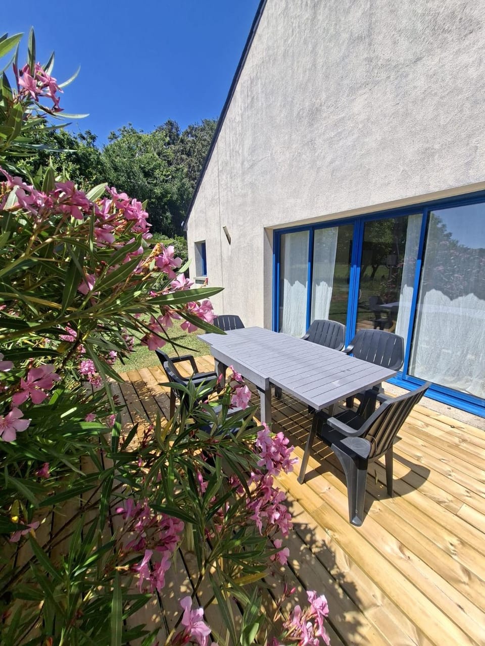 Patio, Garden, Dining area