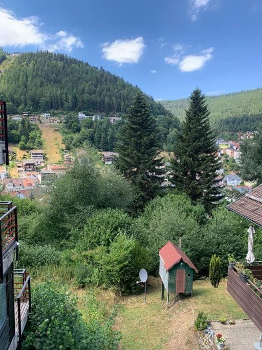 Natural landscape, City view, Mountain view