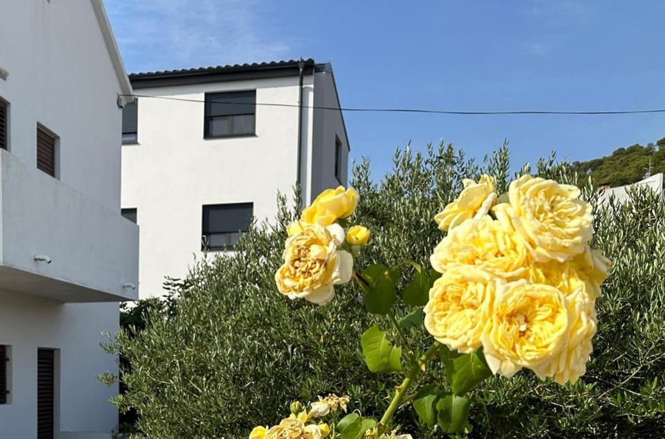 Apartman Mrgic Apartment in Zadar County
