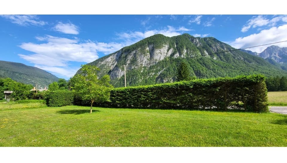 Garden, Garden view, Mountain view