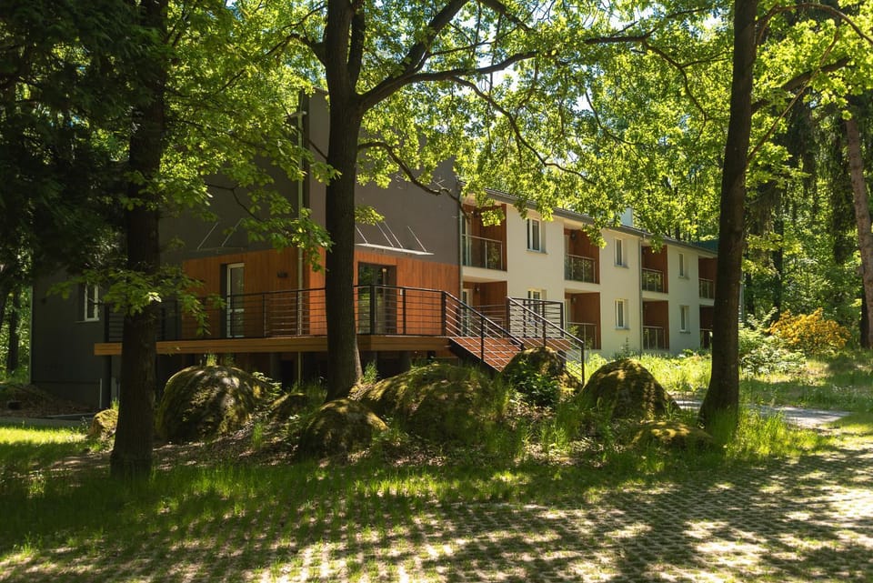 Property building, Garden, Garden view