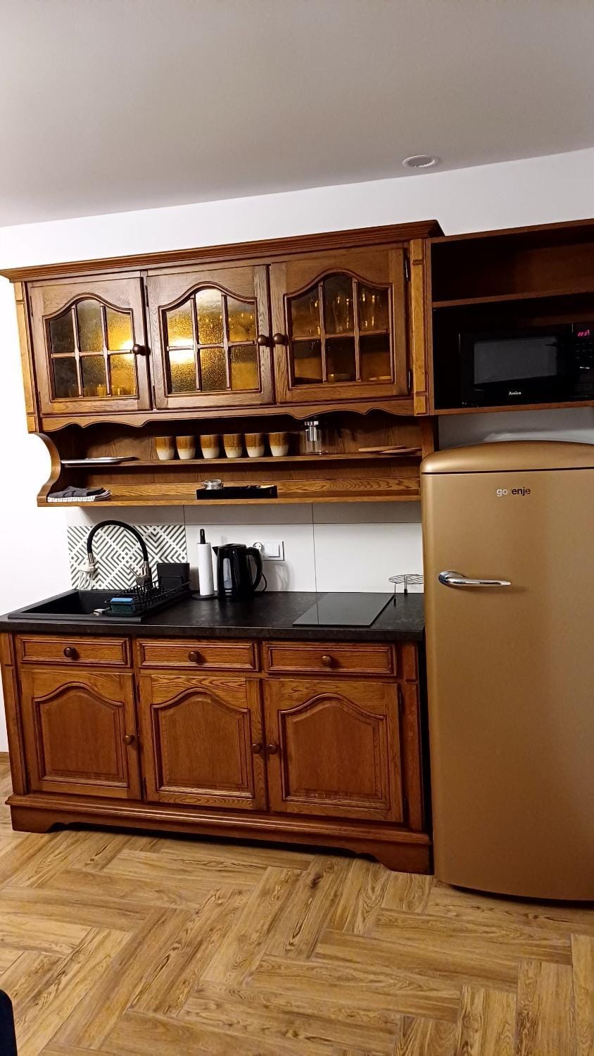 Kitchen or kitchenette, minibar, oven, pet friendly, stove