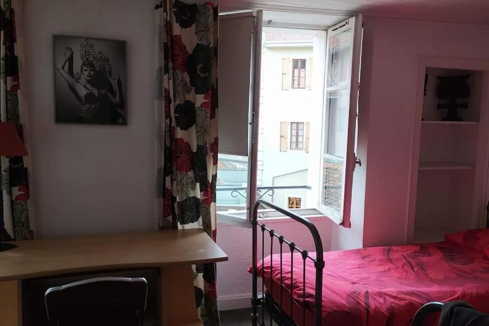 Duplex de 100 m² aucoeur de la Vielle Ville d'Annecy pour 6 personnes Apartment in Annecy