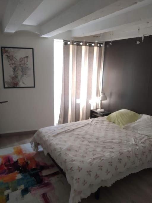 Duplex de 100 m² aucoeur de la Vielle Ville d'Annecy pour 6 personnes Apartment in Annecy