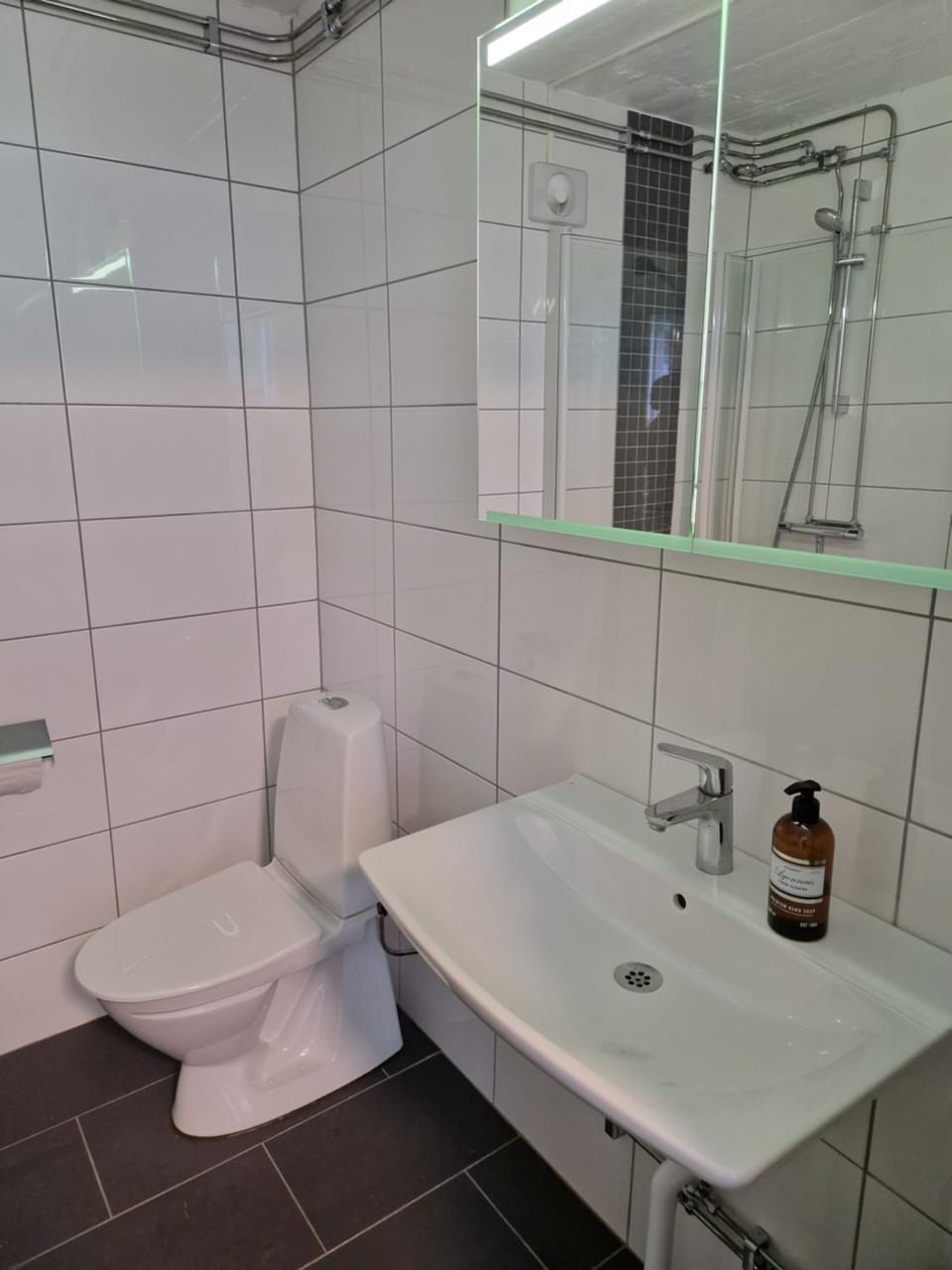 Toilet, Bathroom