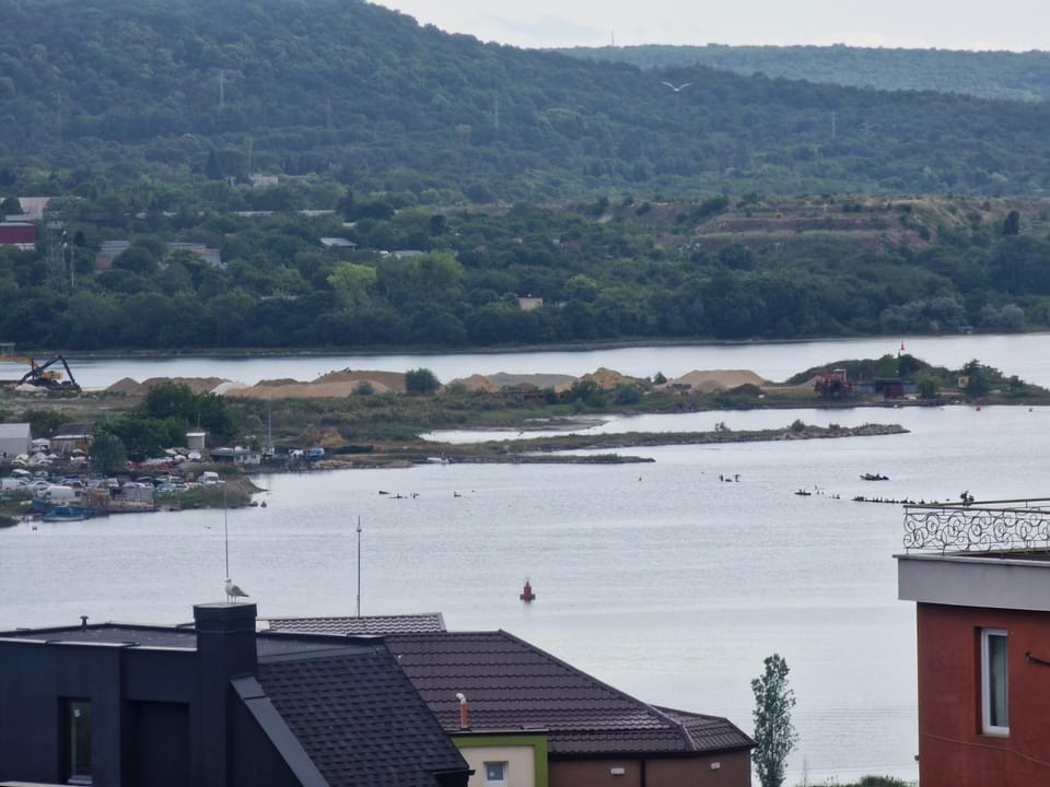 Lake view