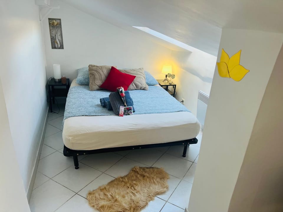 Évasion Romantique sous les Toits Au Coeur du Vieux Nice Apartment in Nice