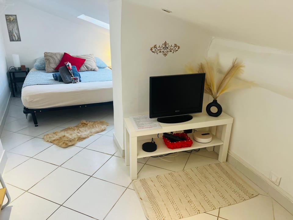 Évasion Romantique sous les Toits Au Coeur du Vieux Nice Apartment in Nice
