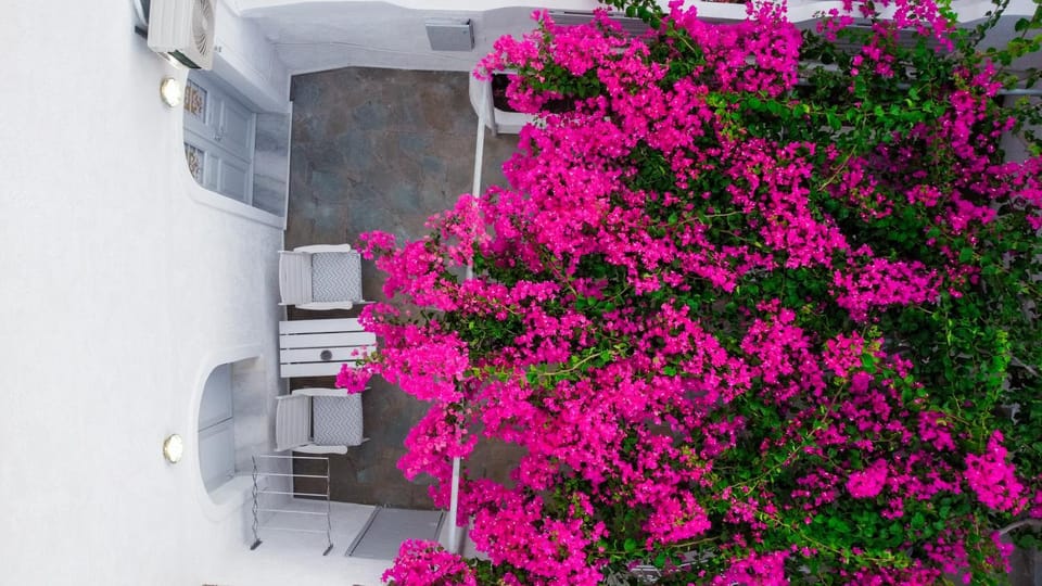 Spring, Day, Garden, Balcony/Terrace, Garden view