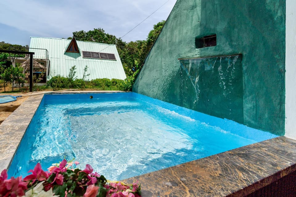 Day, Pool view, Swimming pool