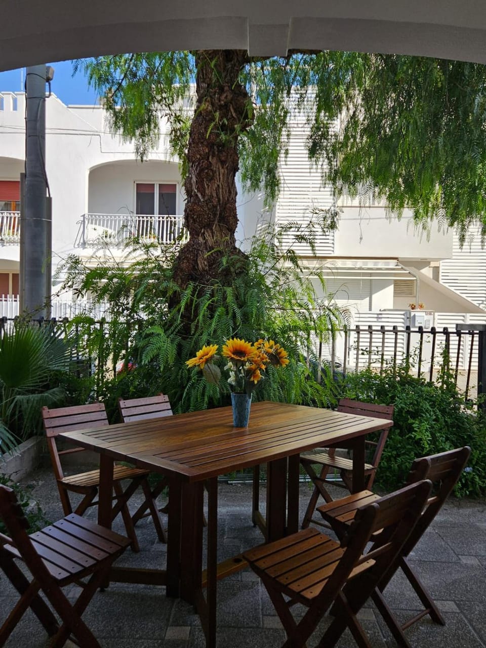 Garden view