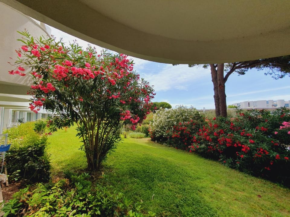 Natural landscape, Garden, Garden view
