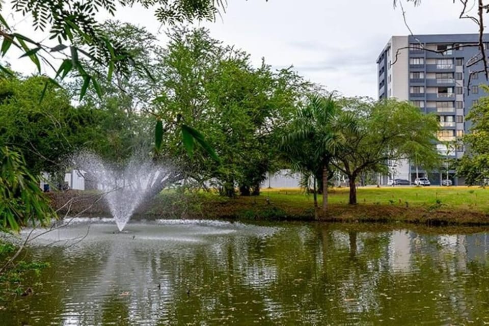 Lake view