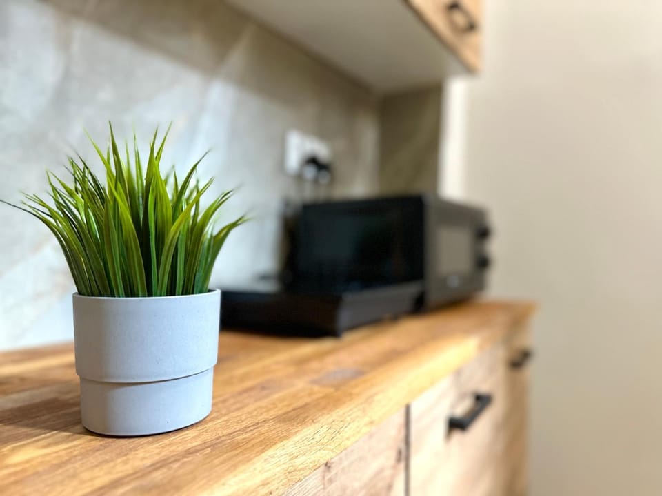 Kitchen or kitchenette, minibar