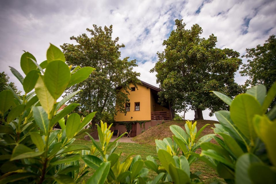 Property building, Garden
