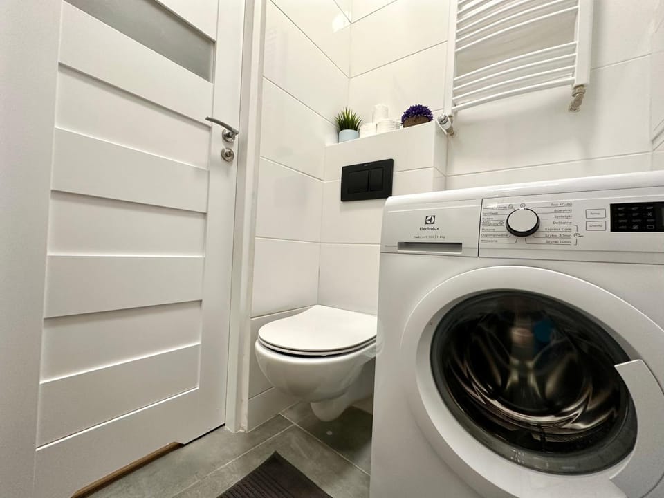 Toilet, Bathroom, washing machine
