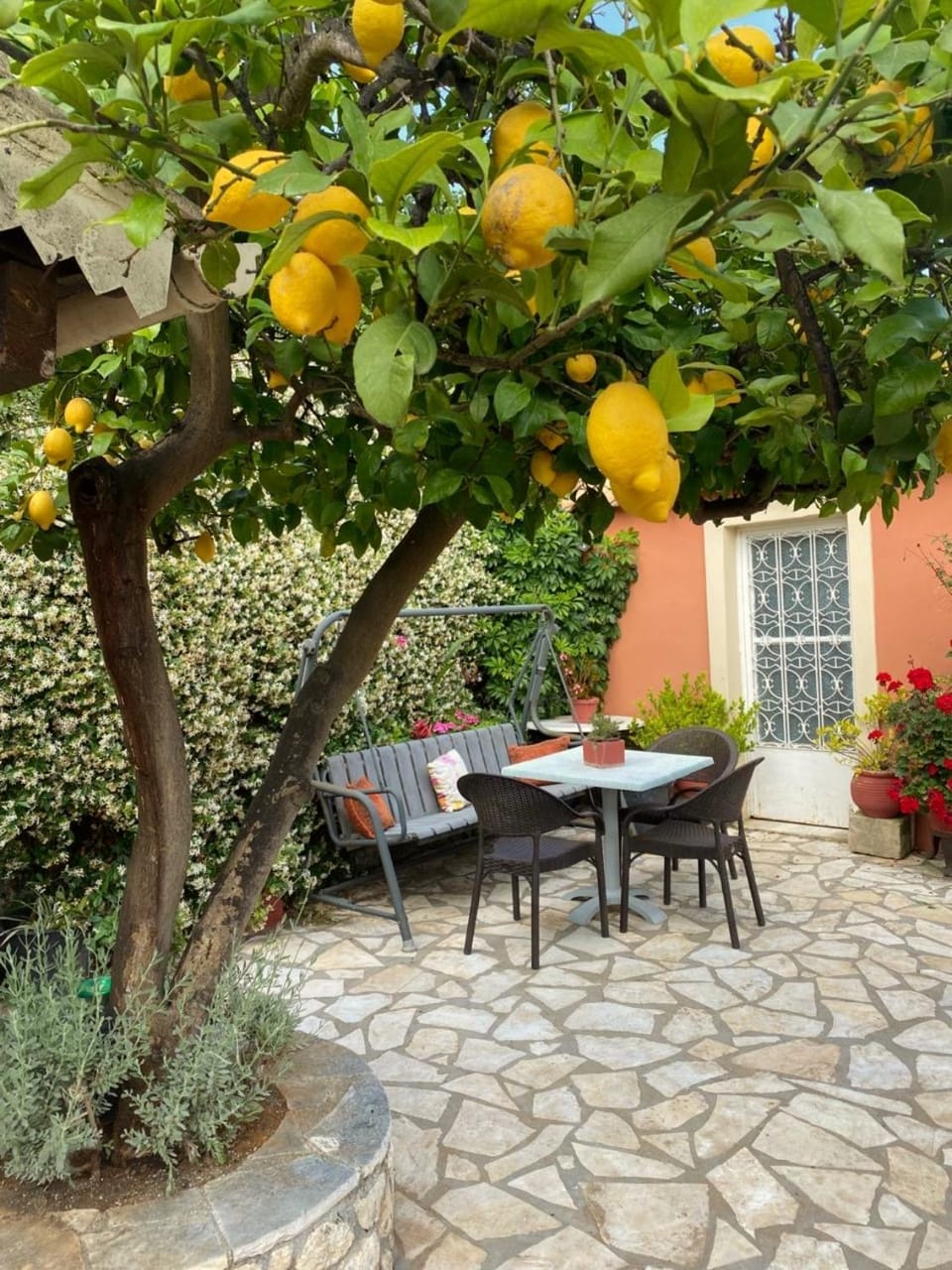 Day, Garden