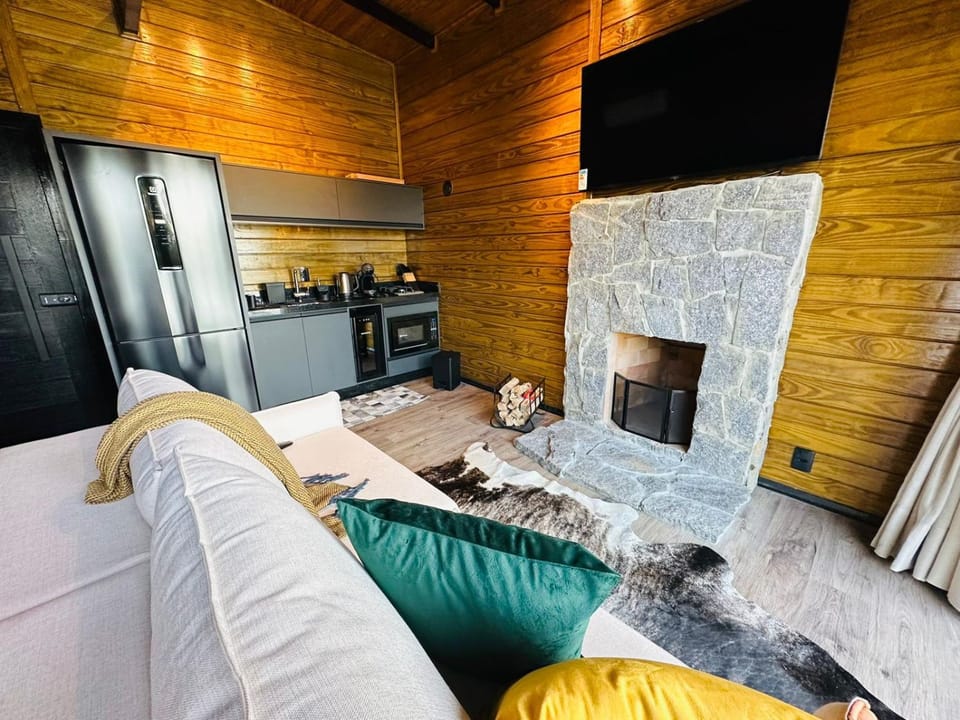 Living room, flat iron, minibar, pet friendly