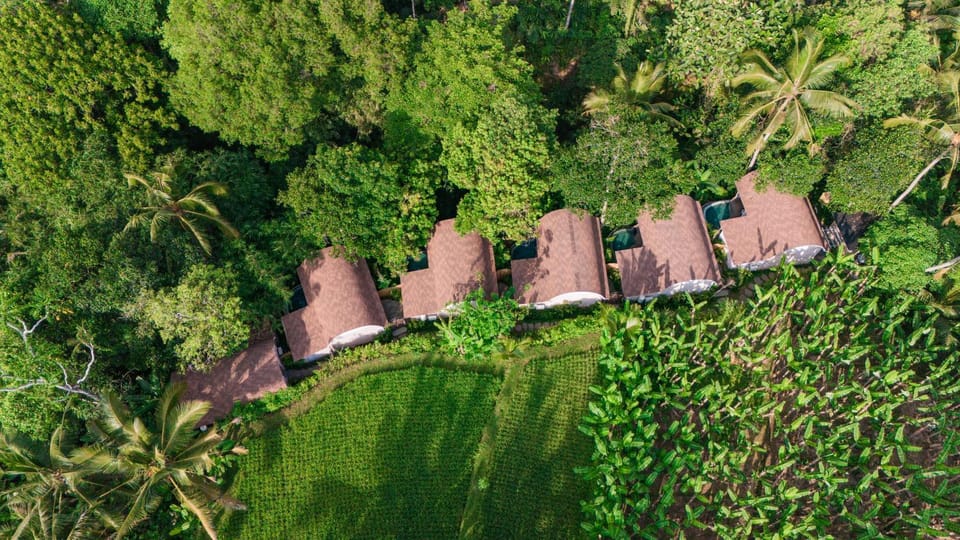 Property building, Natural landscape, Bird's eye view