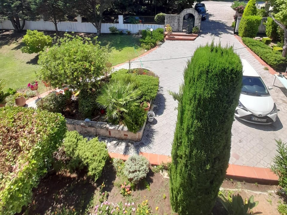 Spring, Day, Natural landscape, Garden, Garden view, Location, Parking