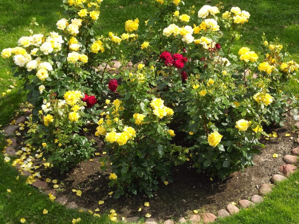 Garden, Other