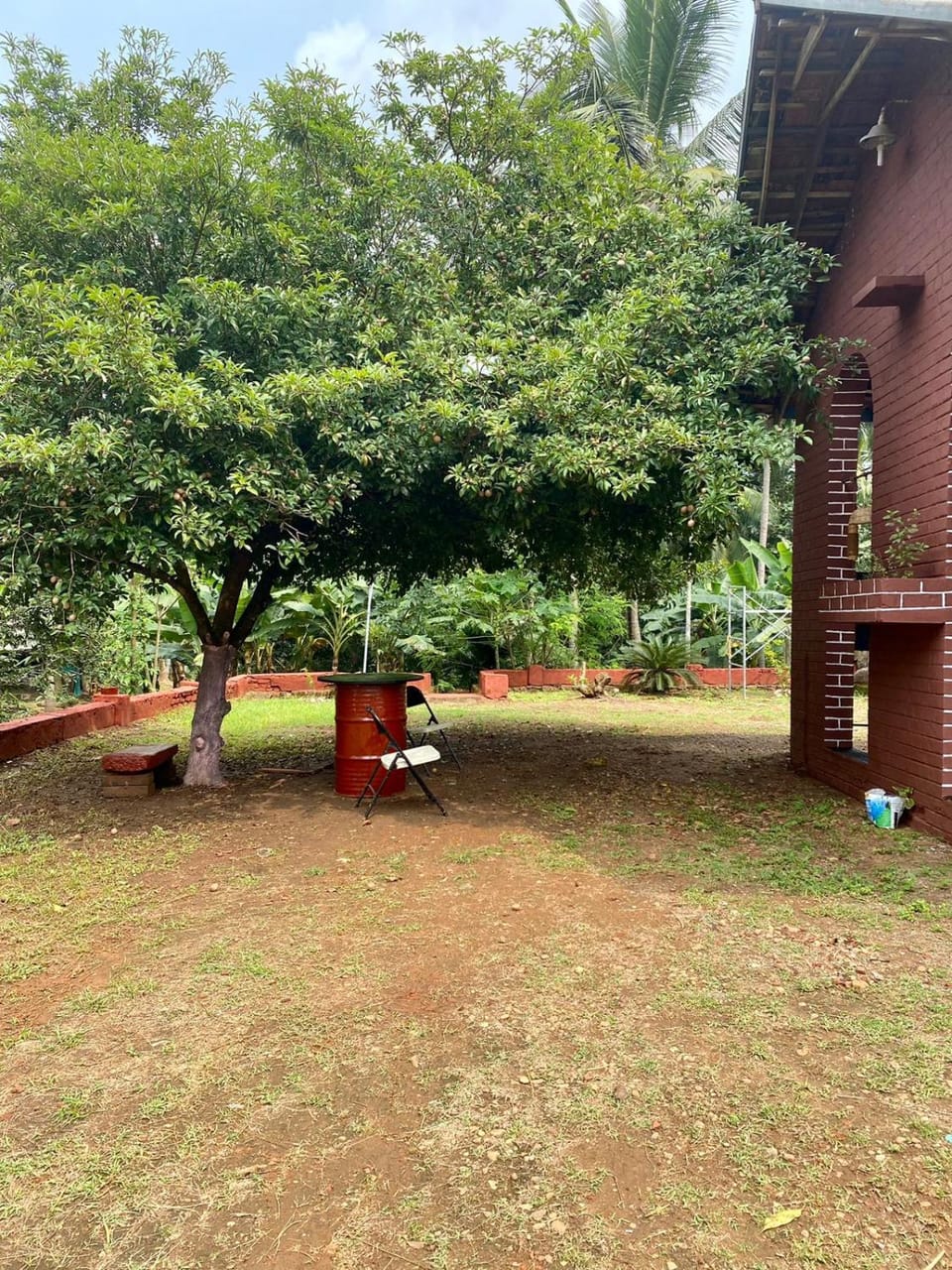 Natural landscape, Garden view