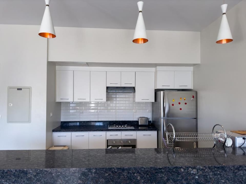 Kitchen or kitchenette, dishwasher