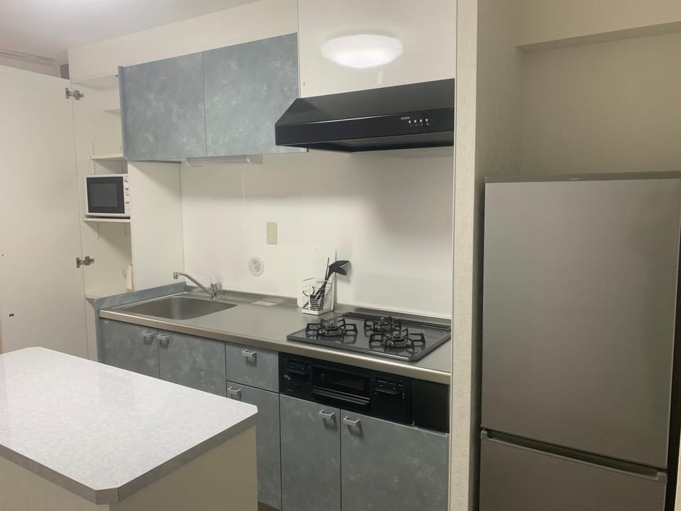 Kitchen or kitchenette, minibar, stove
